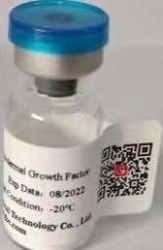 Recombinant Human Epidermal Growth Factor (EGF)